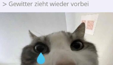 Ich⛈️iel