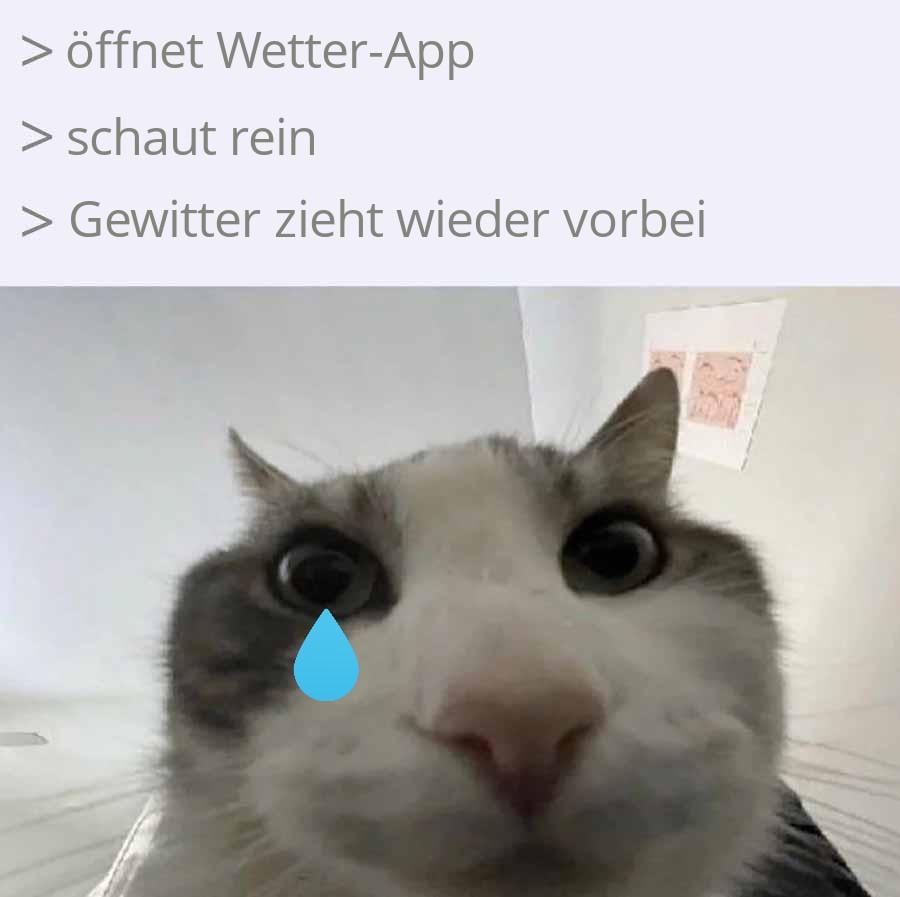Ich⛈️iel