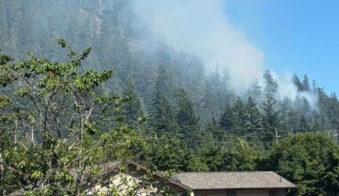 Out-of-control wildfire burning in Squamish, people asked to avoid area - BC