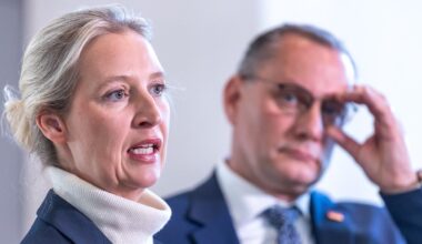 Trotz Kritik am Schwachkopf-Fall: Auch Weidel stellt Strafanträge wegen Beleidigung
