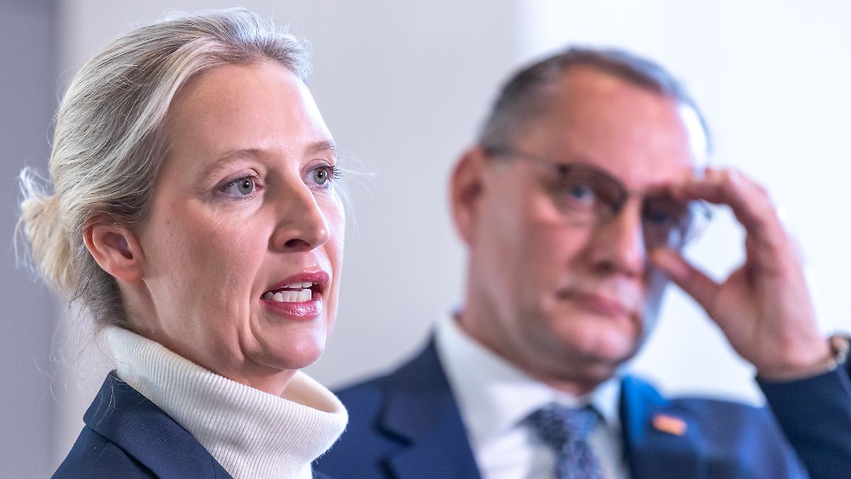 Trotz Kritik am Schwachkopf-Fall: Auch Weidel stellt Strafanträge wegen Beleidigung
