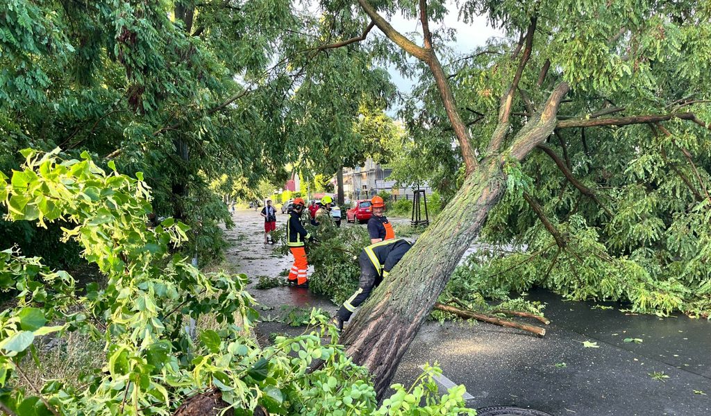 Unwetter wüten über Deutschland: Fernverkehr gestört – Chaos in Berlin