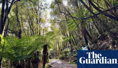 Remote and accessible: cycling New Zealand’s West Coast Wilderness Trail | New Zealand holidays