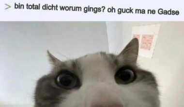 ich💁‍♂️iel