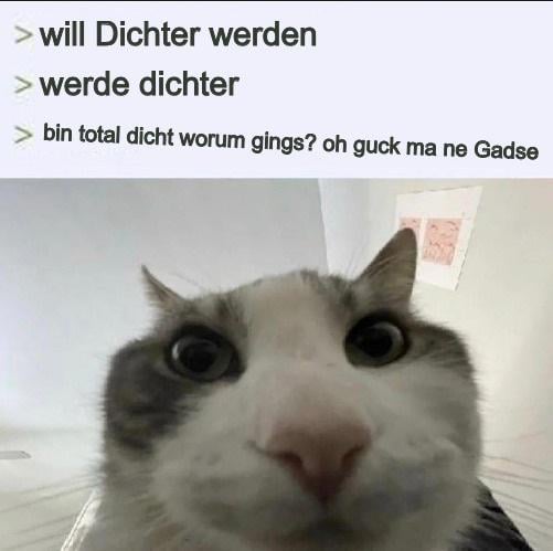 ich💁‍♂️iel
