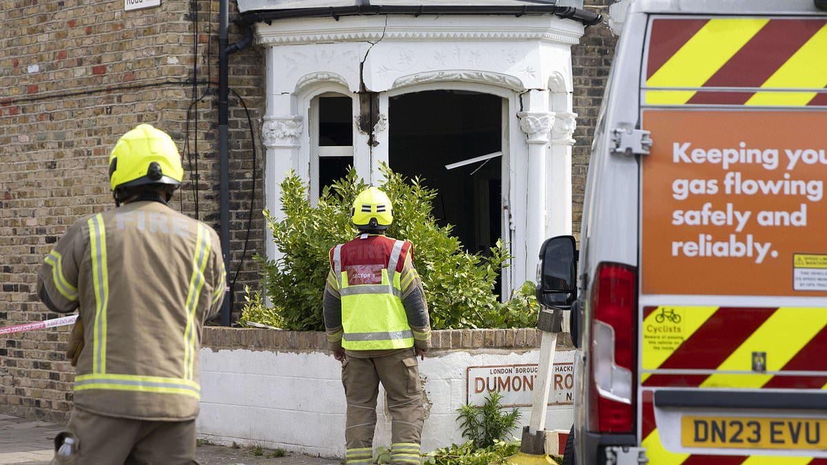 Woman found stabbed to death inside £1.4million north London house after it was destroyed in 'gas explosion'