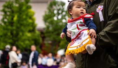 Late marriages, unmarried individuals causes of low birth rate in Japan; trend to continue: survey