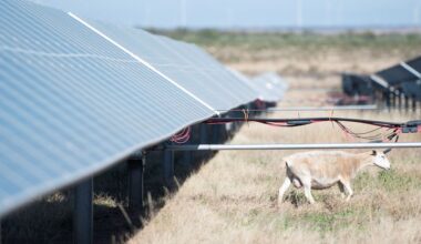 Renewable energy remains cheapest power builds as new gas plants get pricier