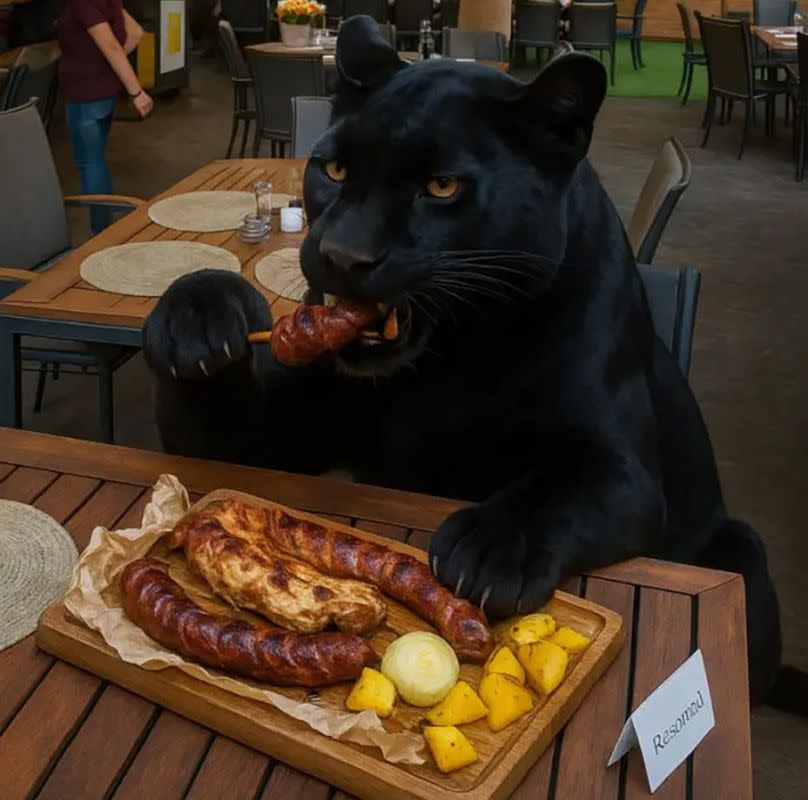 One of the memes about the black panther in Shumen spread on Bulgarian social media accounts