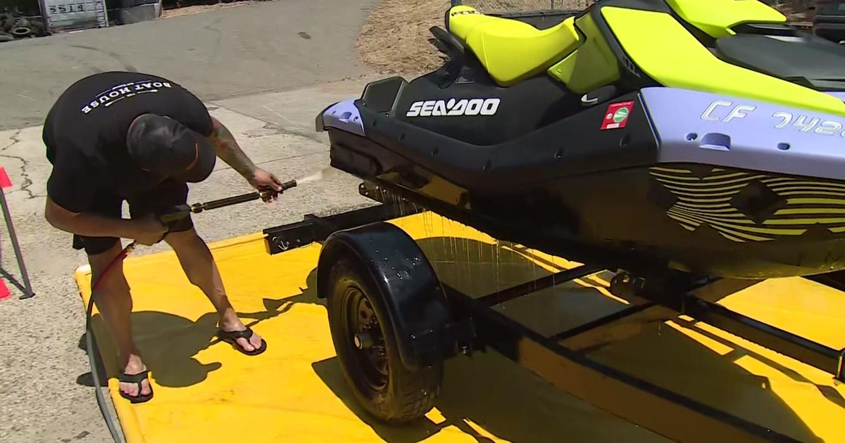 Auburn business helping prevent spread of golden mussels through sanitization process