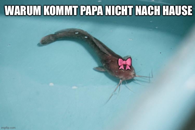 ich_iel
