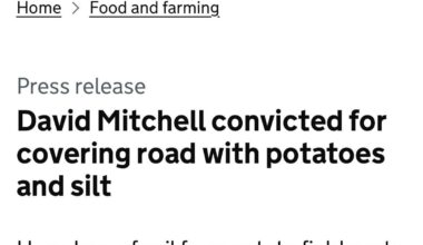 David Mitchell has lost the (potato) plot…