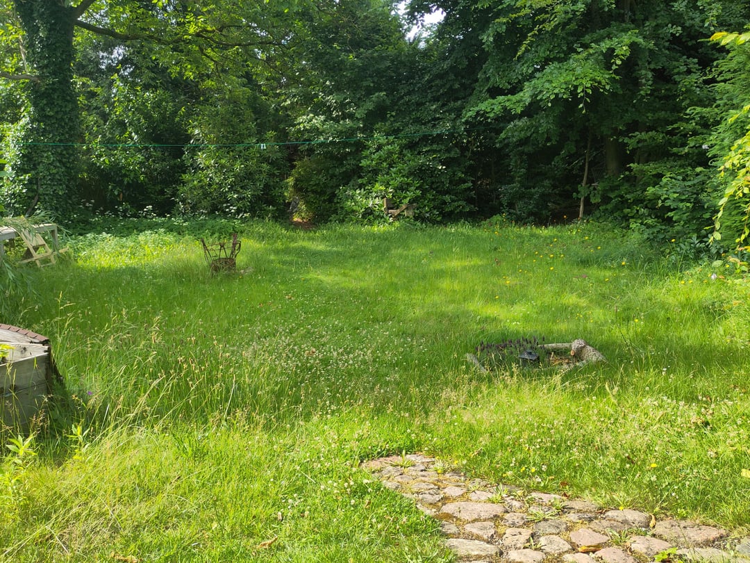 Wie ökologische Wiese? (Vermutlich er drölfhundertste Post dazu)