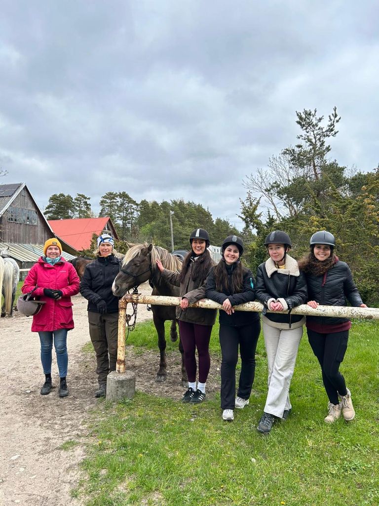 I was mildly relieved to be off the horse 