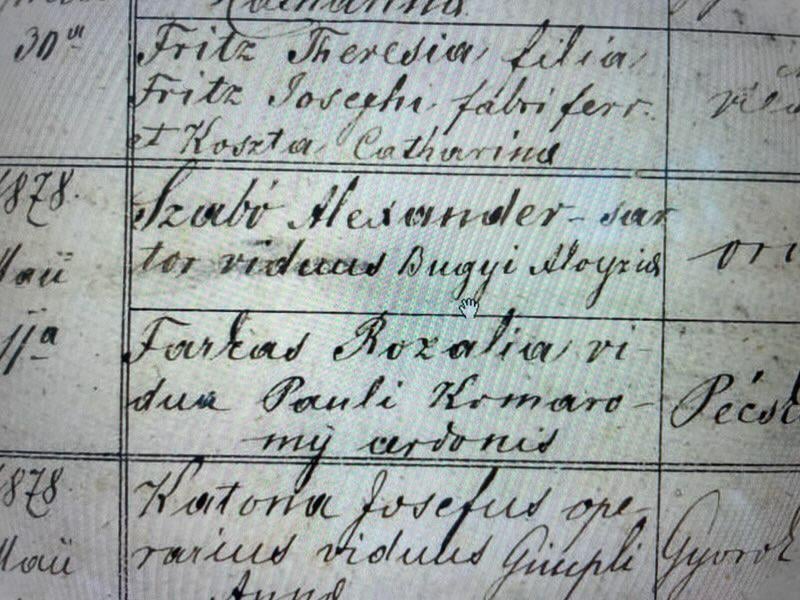 Finding my ancestors from the 1800s, and I can't read any of these except for a few. Can anyone tell me even one of these names?