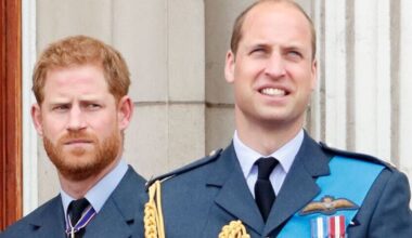 Prince William and Prince Harry 'ceasefire' sparked by 'late text' | Royal | News