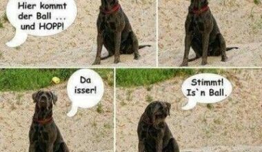 Stimmt