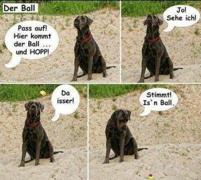 Stimmt