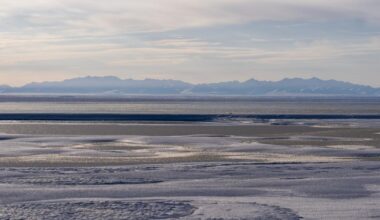 Trump officials are visiting Alaska to discuss a gas pipeline and oil drilling | National News