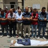 Media groups urge Israel to allow Gaza access for foreign journalists | Nation