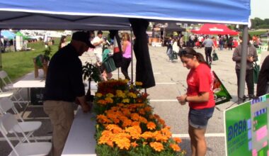 VIDEO | A celebration of World Environment Day at the Delaware Memorial Bridge | The Latest from WDEL News