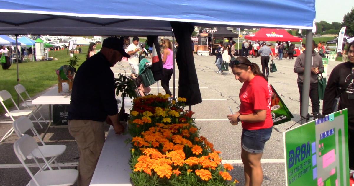 VIDEO | A celebration of World Environment Day at the Delaware Memorial Bridge | The Latest from WDEL News