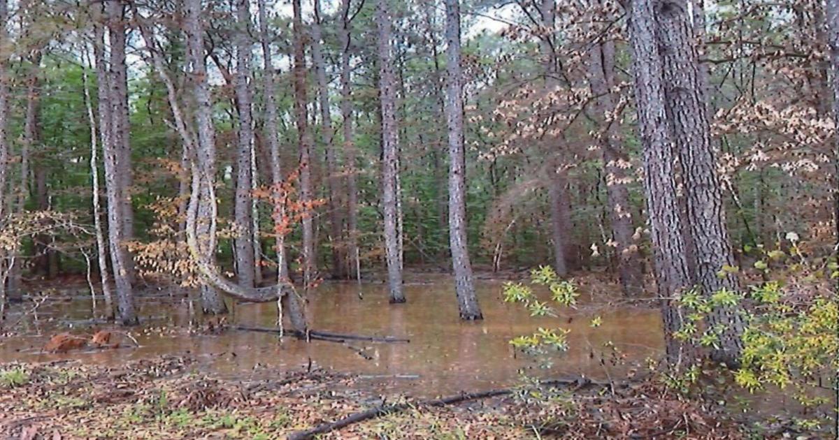 Arkansas Advocate: Arkansas oil and gas regulators moving to stem leak from century-old Ouachita County oil well | Ouachita County