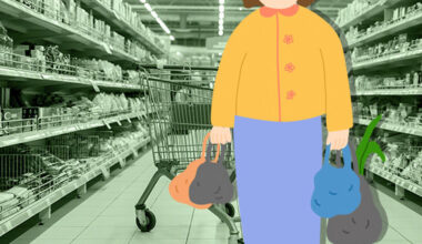 Essential living costs in Korea exceed OECD average