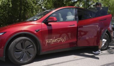 Musk bets robotaxi will lift Tesla after sales dip, boycotts