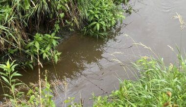 DNR investigating petroleum spill into West Nishnabotna River (aj) | Audubon