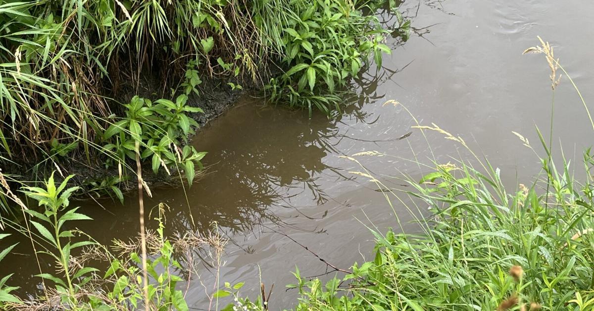 DNR investigating petroleum spill into West Nishnabotna River (aj) | Audubon
