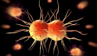 Inside the battle against super gonorrhoea in UK's struggling STI services