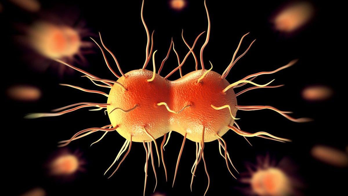 Inside the battle against super gonorrhoea in UK's struggling STI services