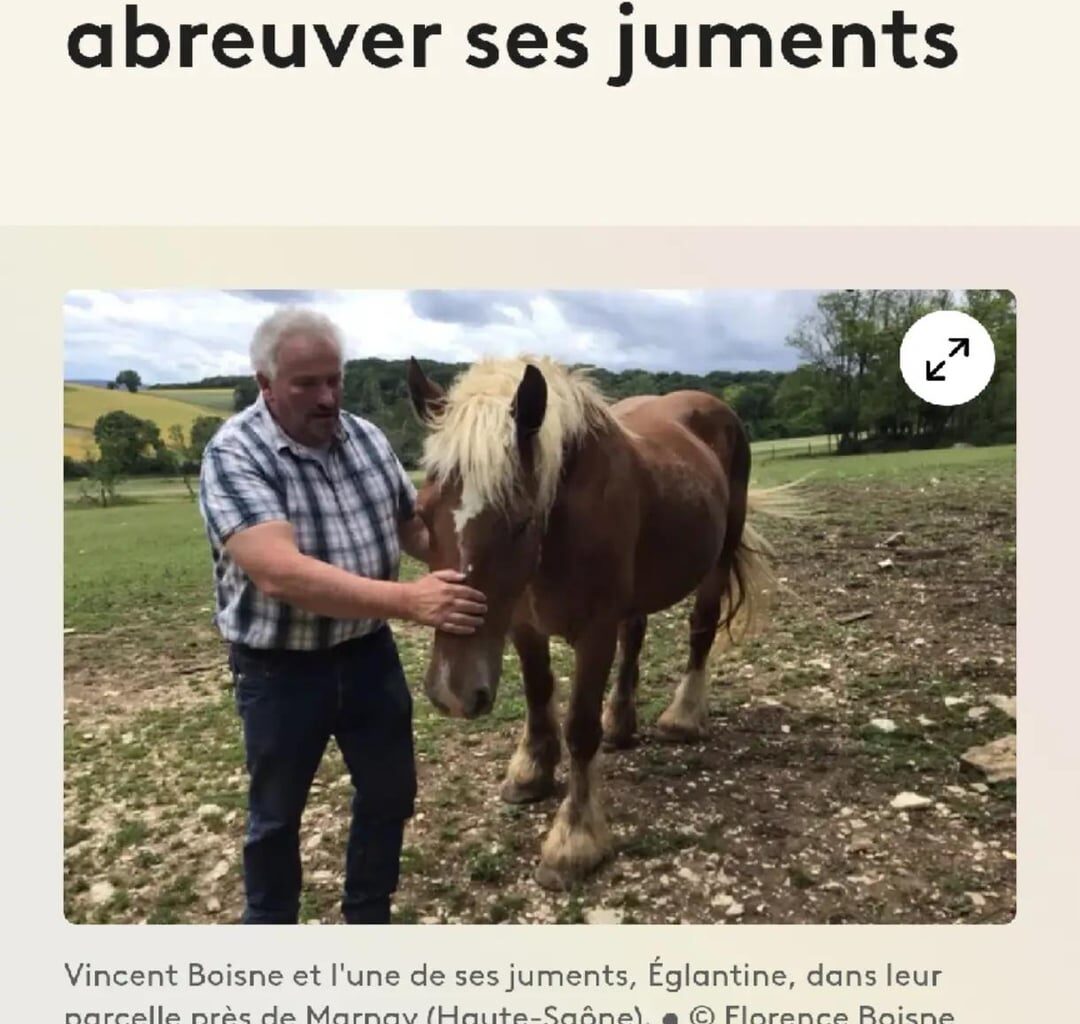 Mon papa s'est fait voler son tracteur :(