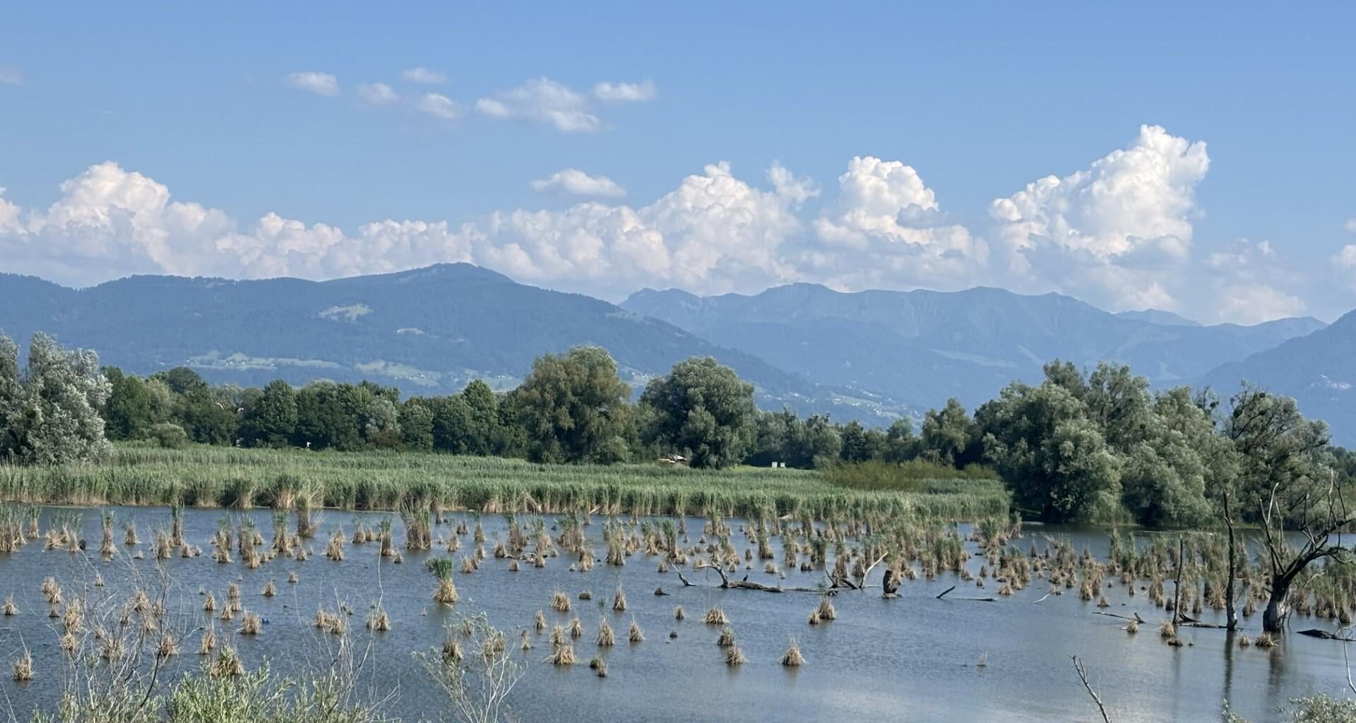 Sommer, Österreich, Traumhaft!