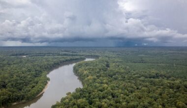 Will DeSantis sign oil drilling ban for Apalachicola River?