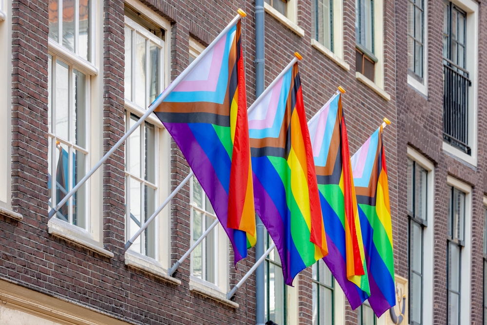 pride progress flag