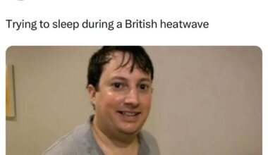 Love a heatwave