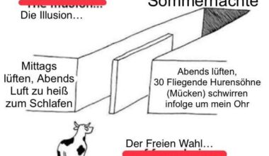 Ich🦟☀️iel