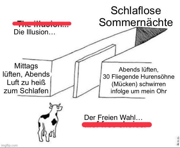 Ich🦟☀️iel