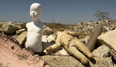 is Cyprus doing enough to…