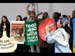 Yasmine Marrero | Conserve like a girl | Commentary
