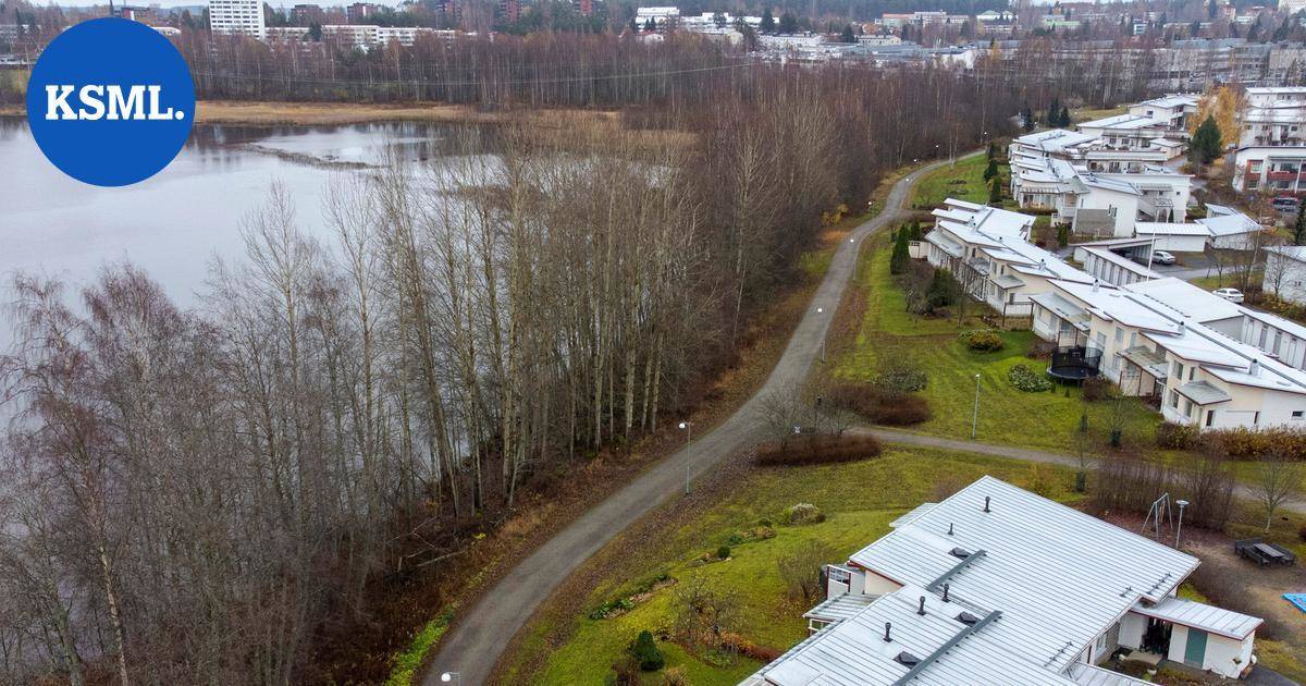 Luonnonsuojelualueella Jyväskylässä tehtiin luvattomia raivauksia – tutkintapyyntö poliisille | Keski-Suomi