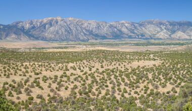 Nevada third for federal oil potential in new study
