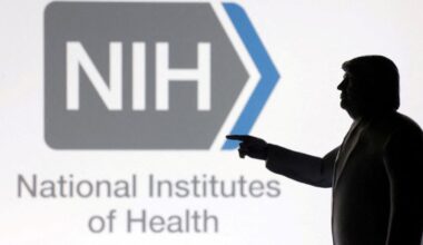 The trickle-down effect of Trump's massive NIH budget cuts