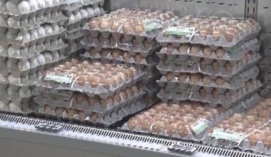 South Korea grapples with surging prices for livestock, processed foods