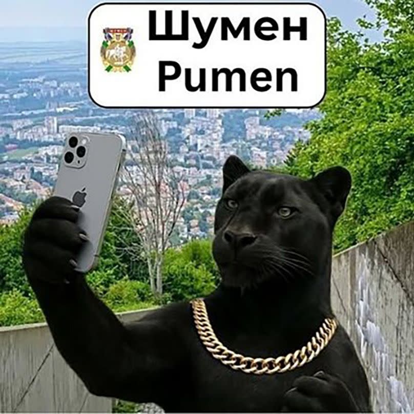 A meme about the black panther in Shumen spread on Bulgarian social media accounts