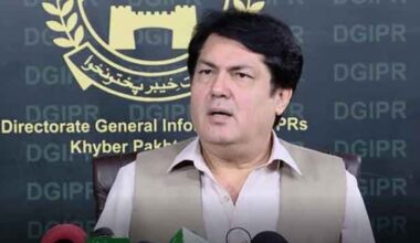 Saif lashes out at govt for petroleum prices hike