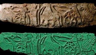 National Geographic: "Un hallazgo revela que la antigua Carpetania fue clave en el comercio mediterráneo hace 2.000 años"