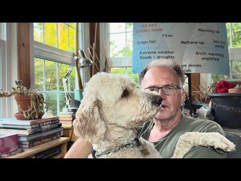 Shrinking and Vanishing Clouds are Greatly Accelerating Global Warming